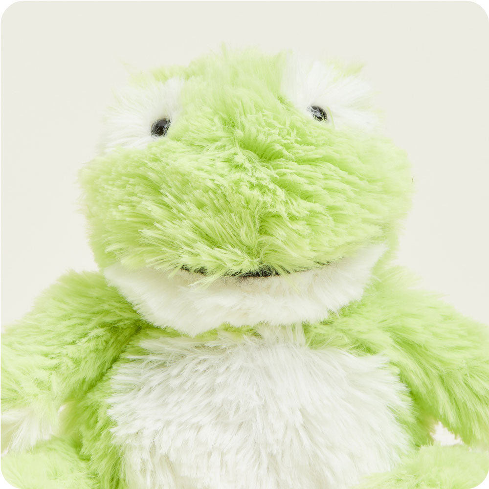 Frog Warmies Junior - Image 2